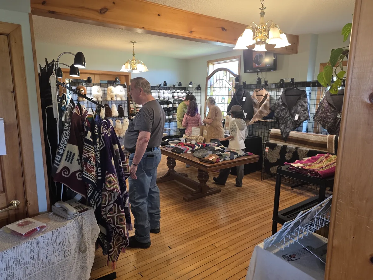 Guests browsing the Laslyn Alpaca shop in the farm house