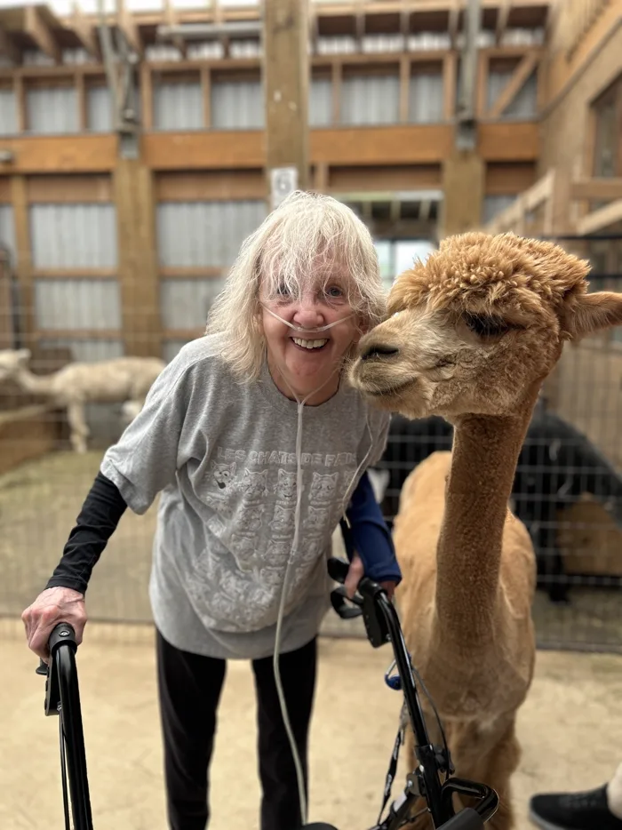 A guest using a walking frame, laughing, as an alpaca leans its head in beside hers
