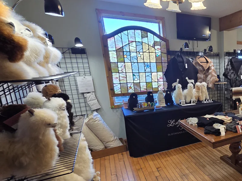 A rack of alpaca plushies in the farm house shop, with more on the table behind